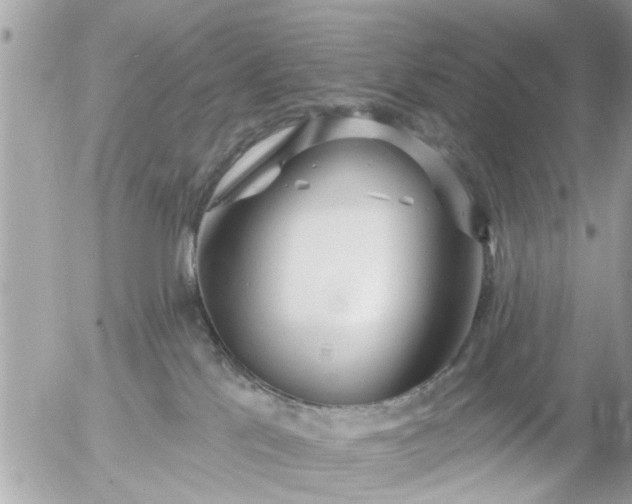 X0000055520041200508262217