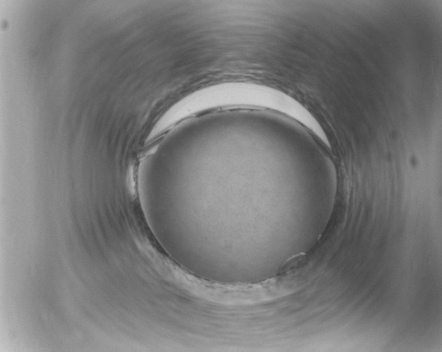 X0000055520042200508262217