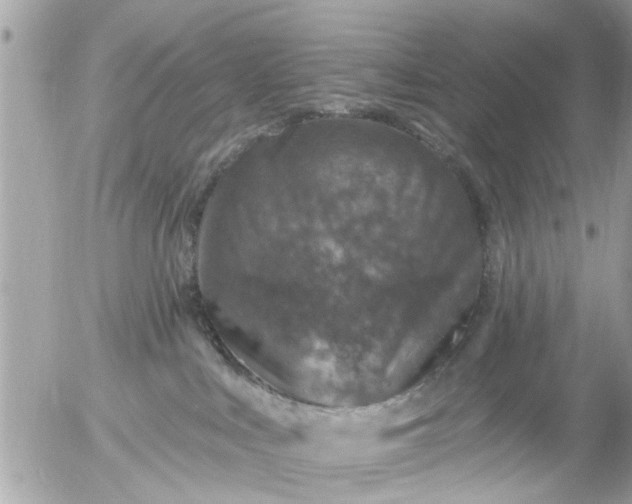 X0000055520043200508262217