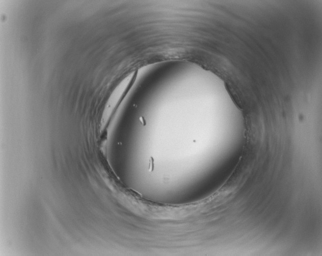 X0000055520044200508262217