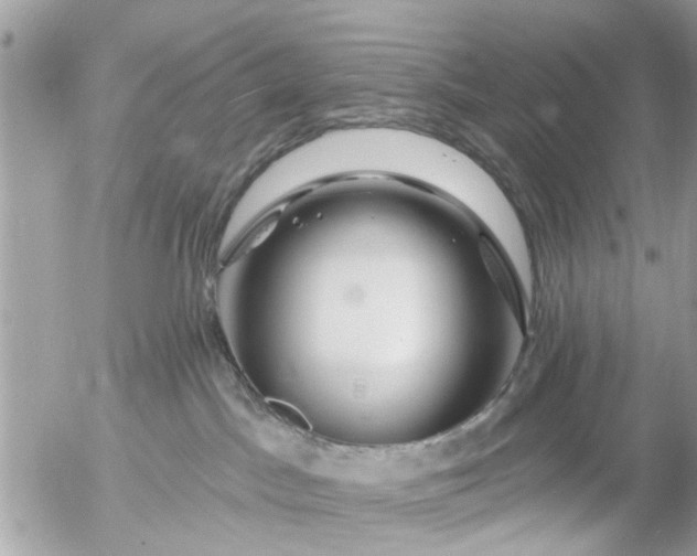 X0000055520045200508262216