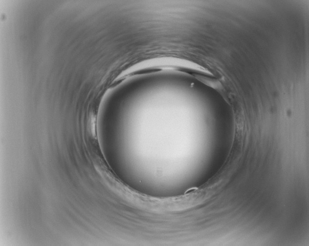 X0000055520046200508262216