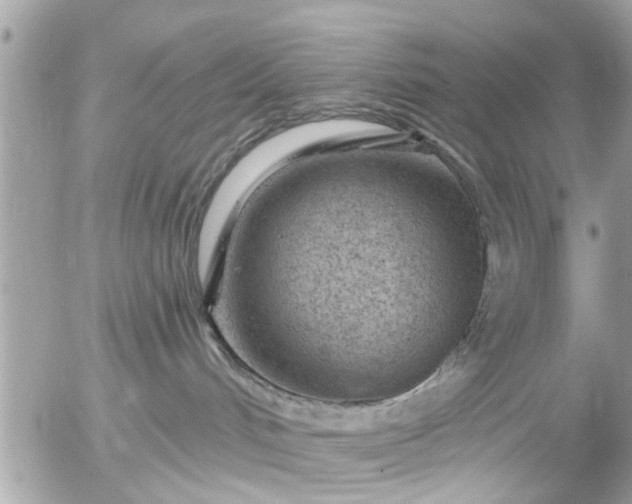 X0000055520048200508262216