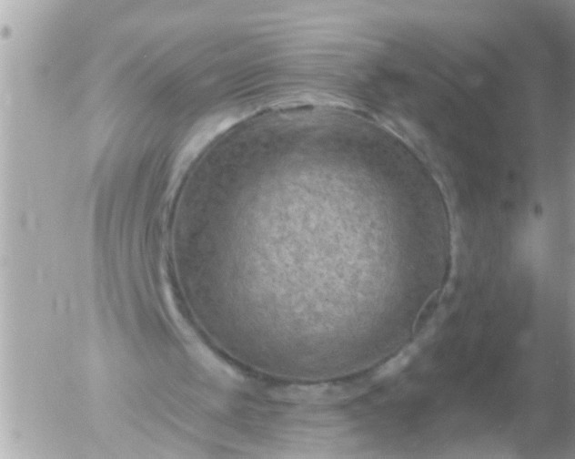 X0000055520049200508262216