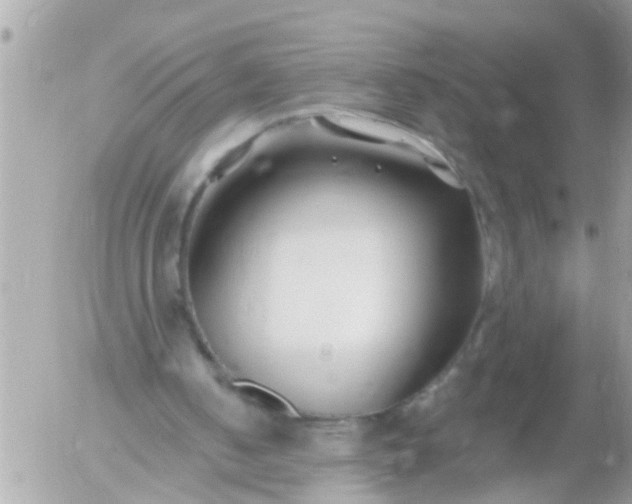 X0000055520050200508262216