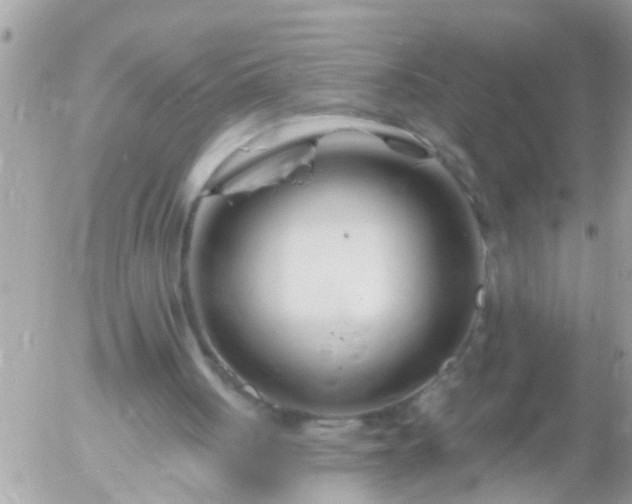 X0000055520051200508262216