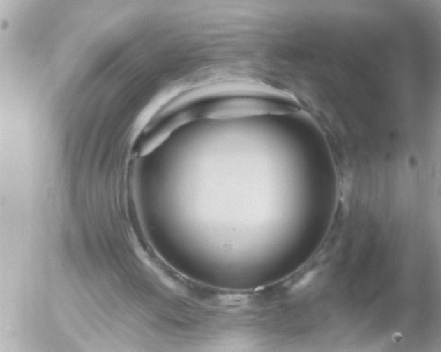 X0000055520052200508262216