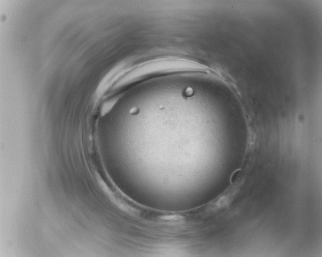 X0000055520053200508262216