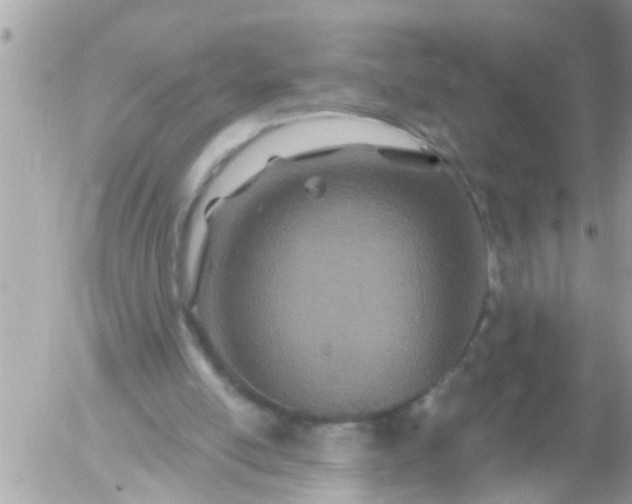 X0000055520054200508262216