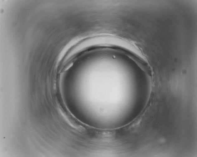 X0000055520056200508262216