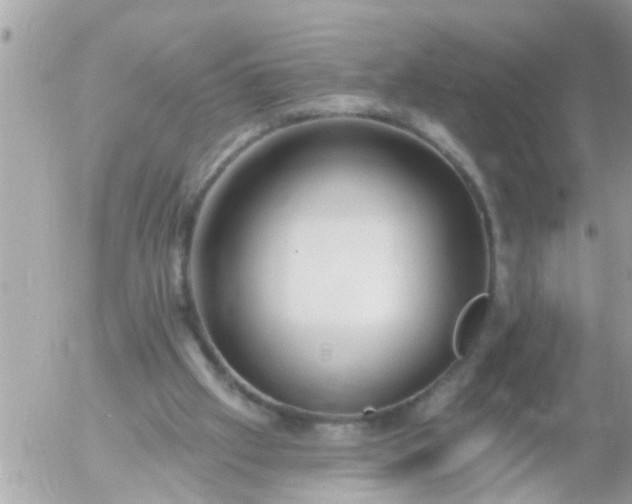 X0000055520057200508262216