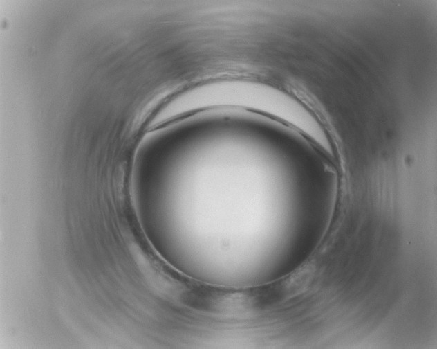 X0000055520058200508262216