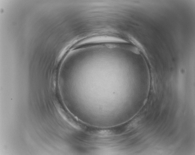 X0000055520059200508262216