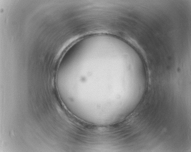 X0000055520060200508262216