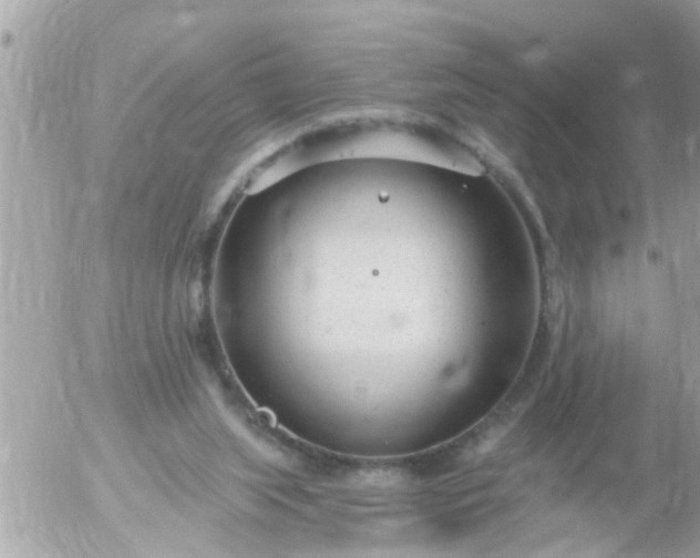 X0000055520063200508262216