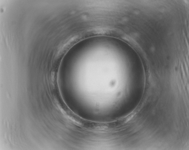 X0000055520066200508262216