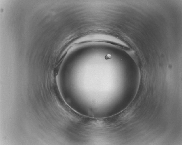 X0000055520071200508262216