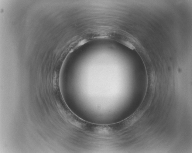 X0000055520073200508262216