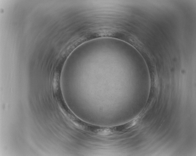 X0000055520074200508262216