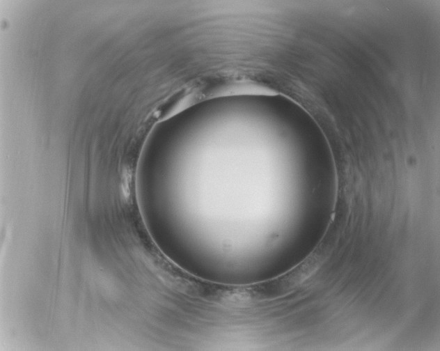 X0000055520075200508262216