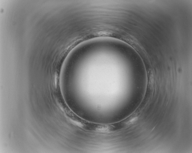 X0000055520076200508262216