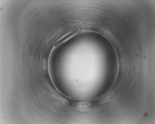 X0000055520077200508262216