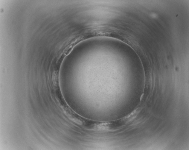 X0000055520078200508262216