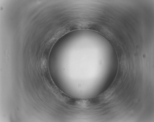 X0000055520079200508262216