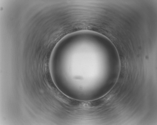 X0000055520080200508262216