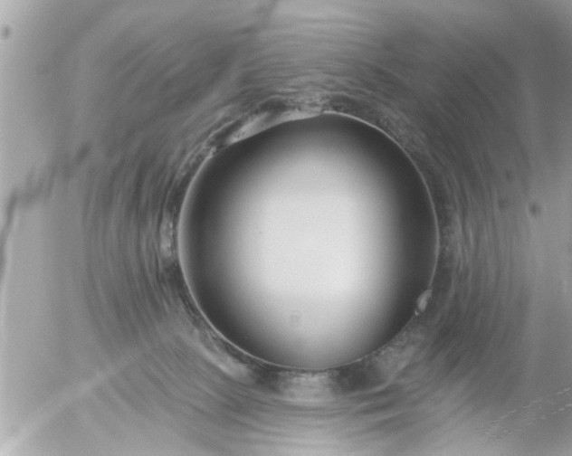 X0000055520081200508262216