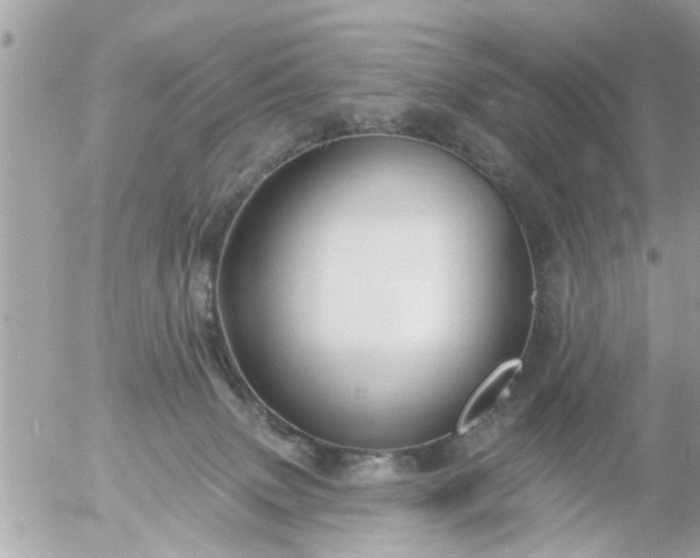 X0000055520083200508262216