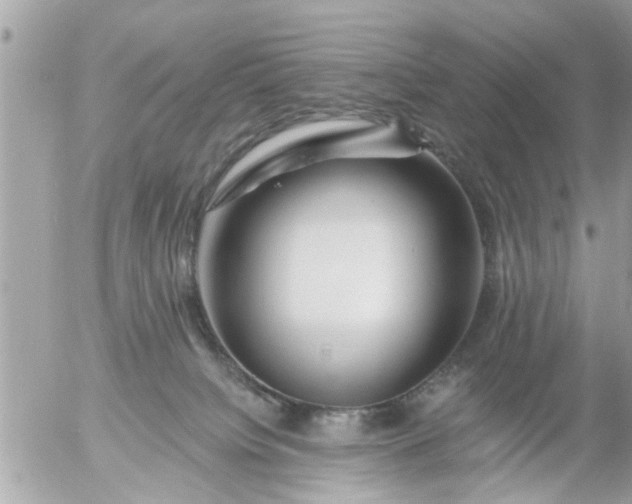 X0000055520084200508262216