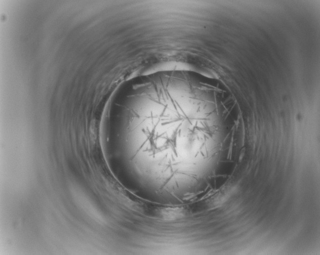 X0000055520085200508262216