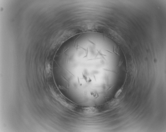 X0000055520087200508262216