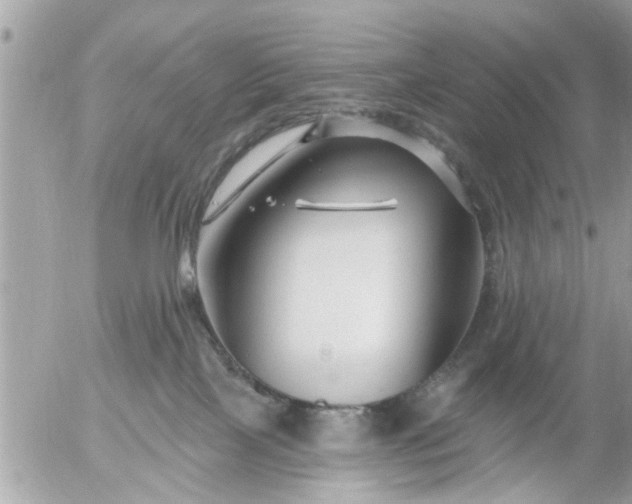 X0000055520089200508262216