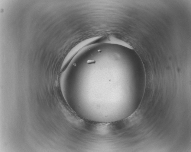 X0000055520090200508262216