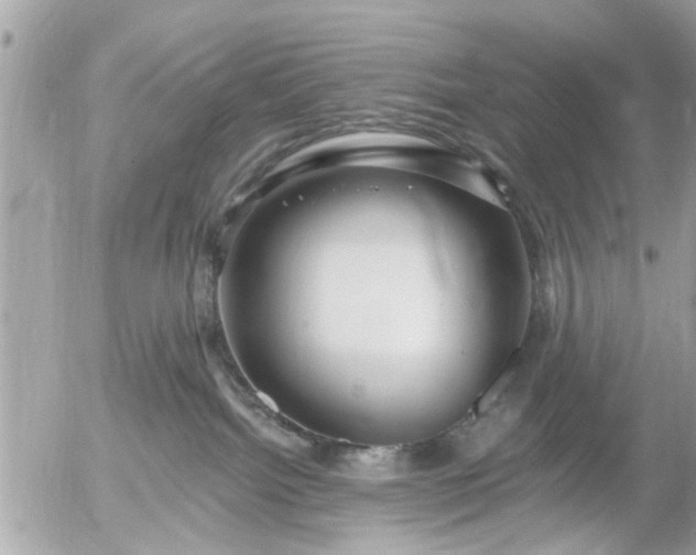 X0000055520092200508262216