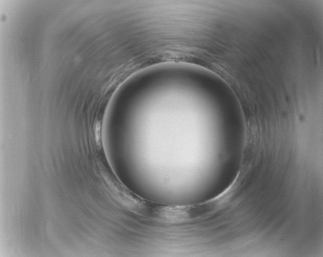 X0000055520094200508262216