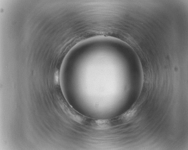 X0000055520095200508262216