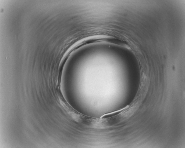 X0000055520096200508262216