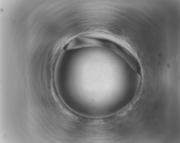 X0000055520097200508262216