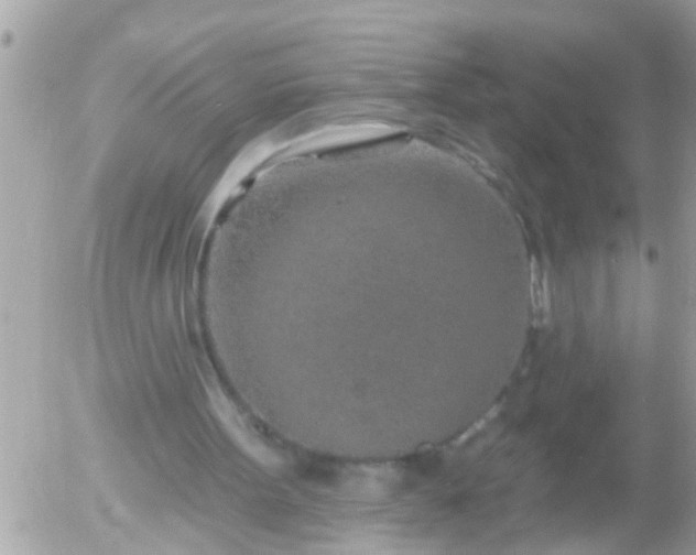 X0000055520099200508262216