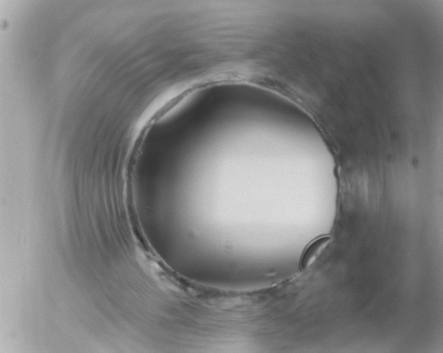 X0000055520100200508262216