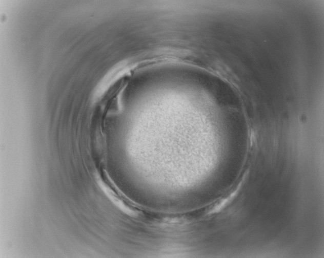 X0000055520101200508262216