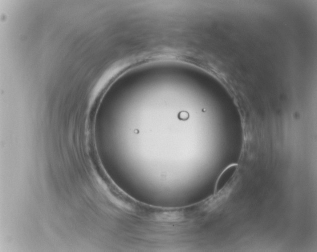 X0000055520102200508262216