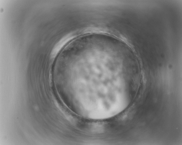 X0000055520103200508262216