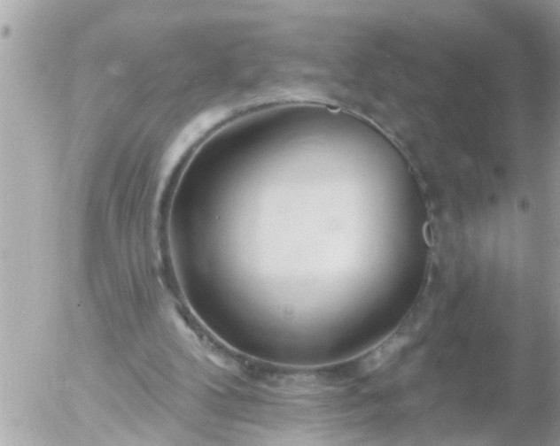 X0000055520104200508262216