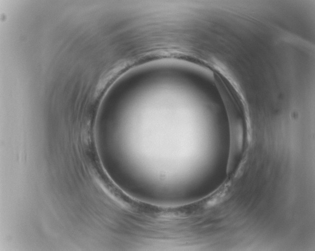 X0000055520105200508262215