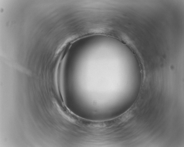 X0000055520106200508262215