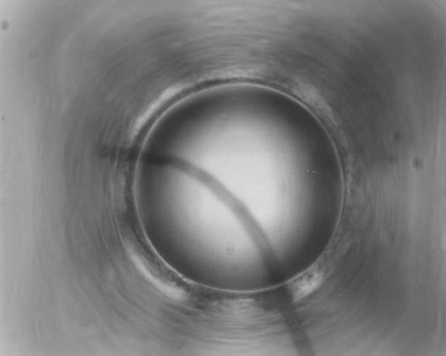 X0000055520108200508262215